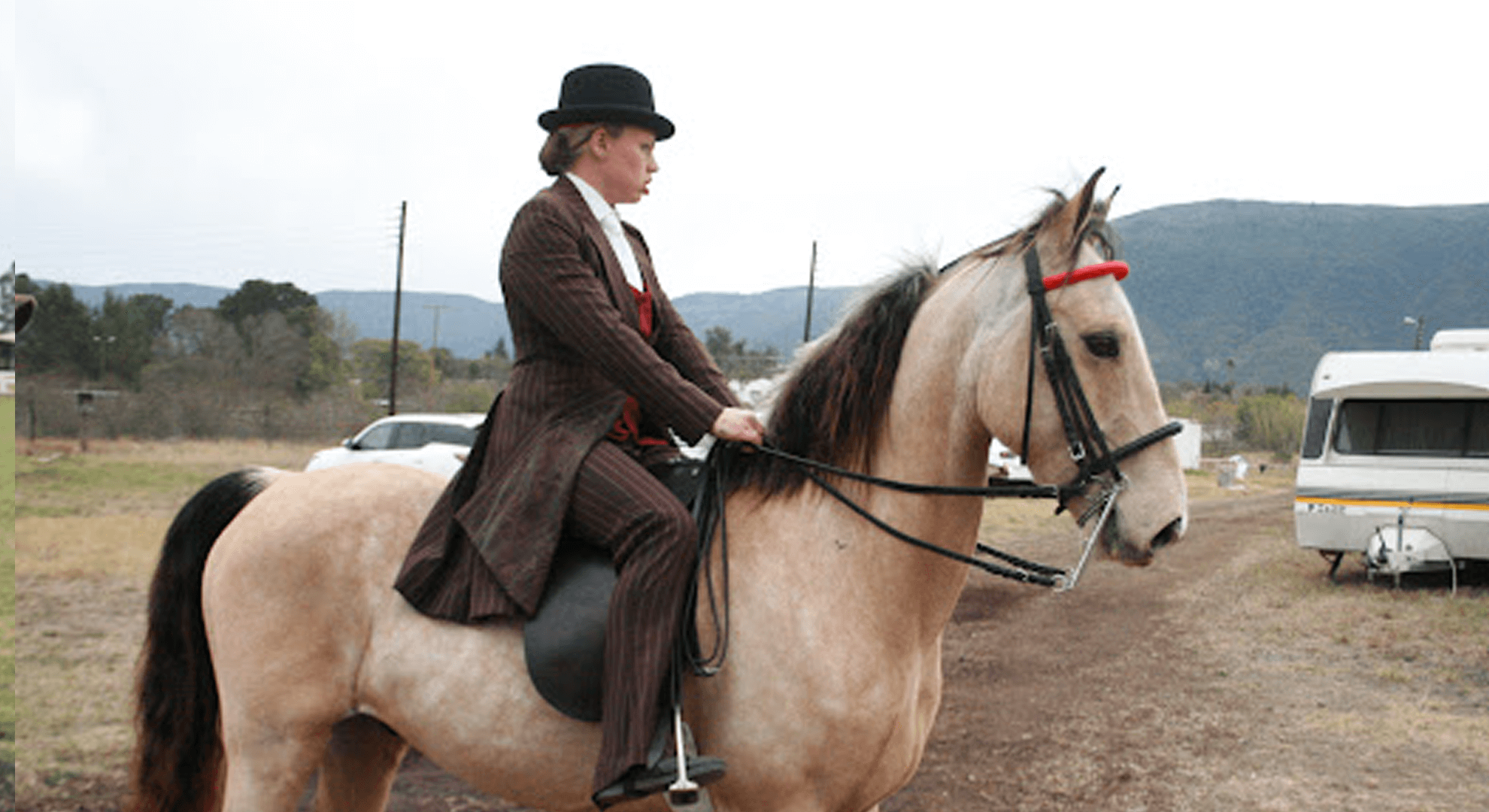 Person grooming a horse in the stable